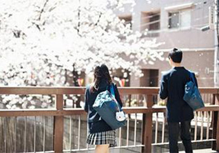 樱花日语课程助力留学规划新突破