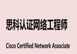 思科CCNA網(wǎng)絡(luò)工程師