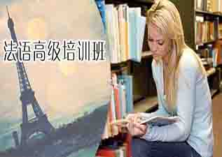 法語(yǔ)高級(jí)領(lǐng)先業(yè)余課程（L2,L3,L4)