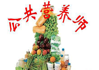 公共營養(yǎng)師