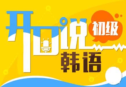 中韩双语认证考试深度解析