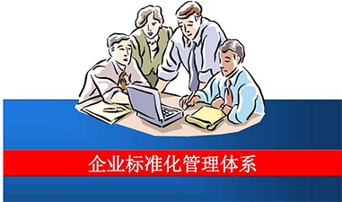企業(yè)流程管理與標準化建立