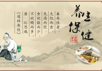 专业按摩技术深度解析与工具选择指南