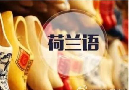 深度解析荷兰教育体系与国际学校选择指南