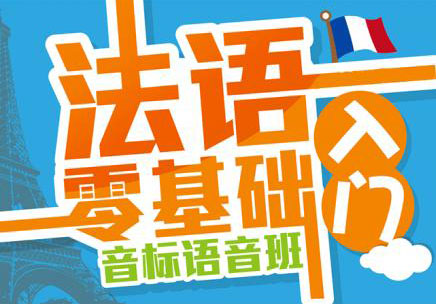 沪上专业法语课程深度解析