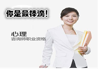 心理咨询师（二级）