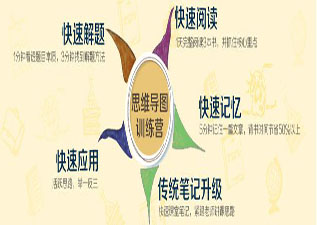 青春期思維導(dǎo)圖訓(xùn)練營