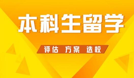 本科转学流程示意图