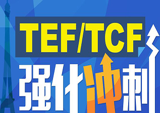 TCF考试培训