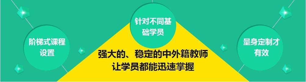 个性化瑞典语教学