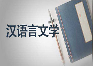 汉语言文学专升本