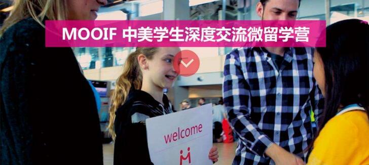 学员实践活动