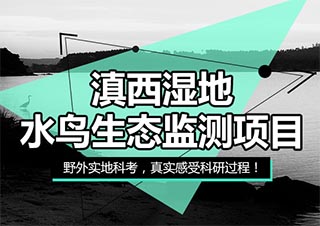 滇西湿地水鸟生态监测科考
