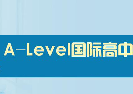 四大国际课程深度解析：选课策略与升学路径指南