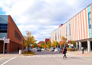 约克大学英语+本科专业双录取