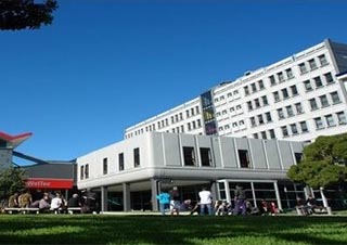 惠灵顿理工本科学院