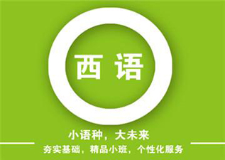 OLE西班牙语徐汇沉浸式海外生存课程