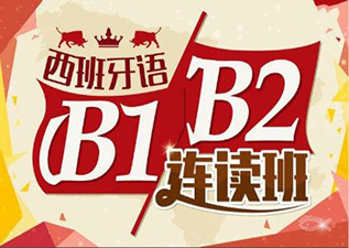 OLE西班牙语徐汇B1口语课程深度解析