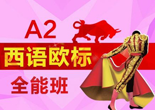 OLE西班牙语徐汇校区DELE-A2考试直通车课程全解析