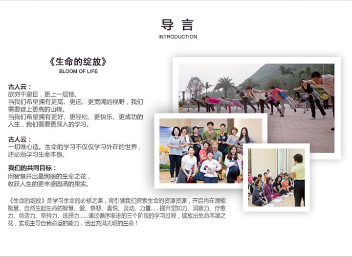 生命绽放课程结构
