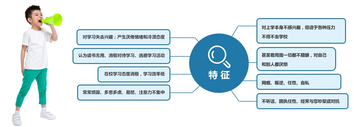 博沃思学习主动性课程