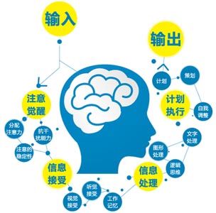 脑电生物反馈训练原理