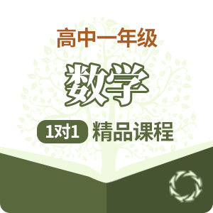 高一数学1对1精品培训课程
