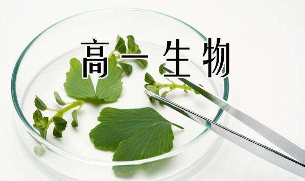生物实验教学场景
