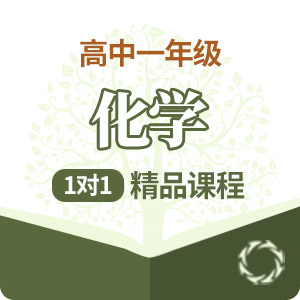 高一化学1对1精品培训课程