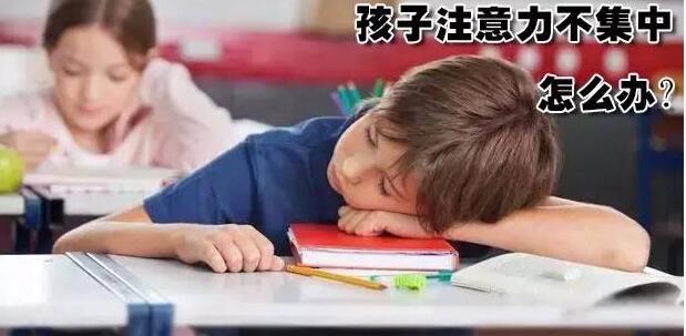 注意力训练示意图