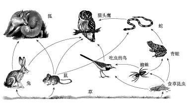 生物实验操作指导