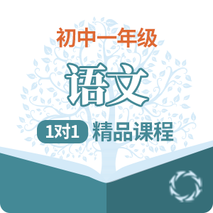 初一语文1对1精品培训课程