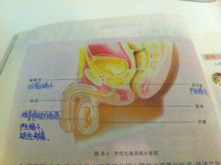 生物精品课程教学场景
