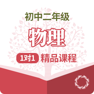 初二物理1对1精品培训课程