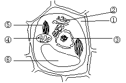 生物实验指导