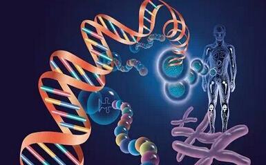 艺考文化课高考生物1对1特色培训课程