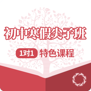 初中寒假尖子培训班