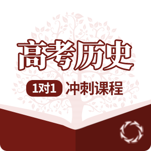 高考历史1对1冲刺培训课程