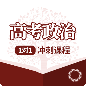 高考政治1对1冲刺培训课程