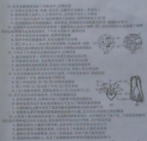 生物实验操作演示