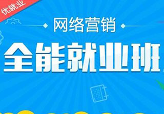 大专生职业发展新路径解析