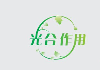 北京字体、LOGO、VI课程培训