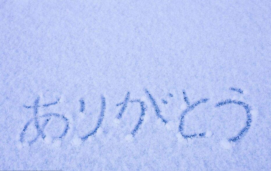 日本名校直通课程教学现场