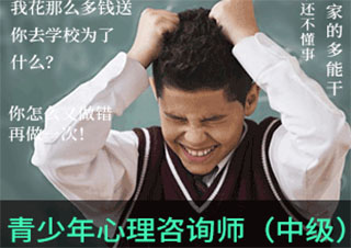 青少年心理咨詢師（中級）