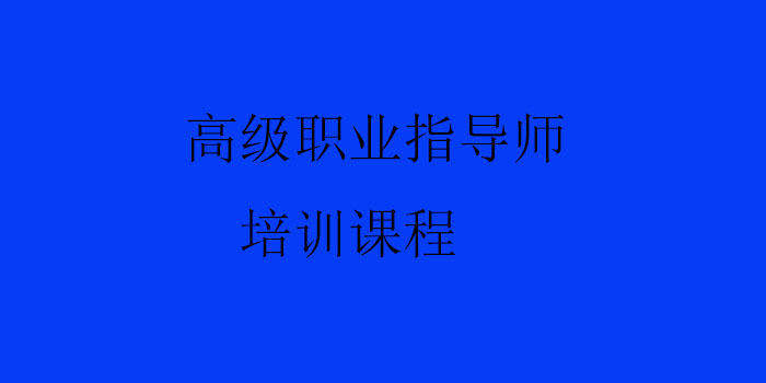 职业指导实训场景