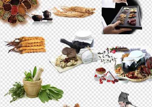南北主食养胃功效深度解析