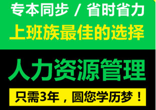 人力资源管理专本兼读