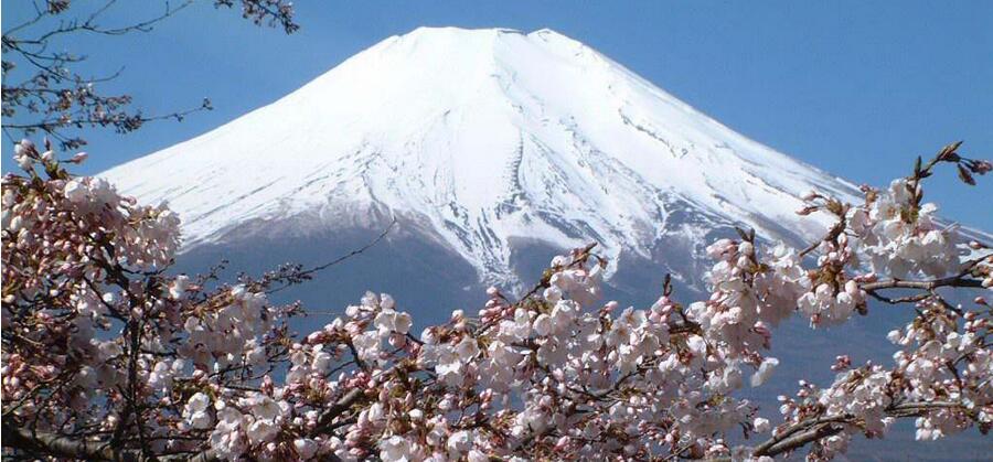 日语N4周末班课堂实景