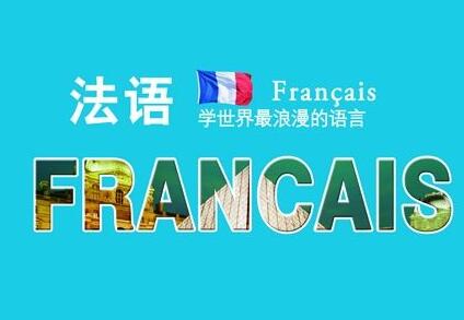 法语考试辅导
