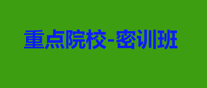 MBA面试实训场景